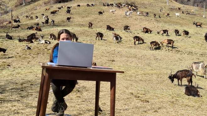 Онлайн-уроки на природі: 10-річна дівчинка з Італії навчається дистанційно в горах – фото