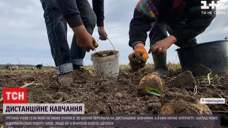 Діти копають картоплю, бо вчителі не вакцинуються через переконання: подробиці скандалу в школі Рівненської області
