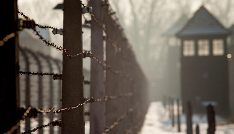 Змушувала дітей відтворювати події Голокосту: у Вашингтоні вчителька вимагала, щоб діти імітували стрілянину та копали братські могили