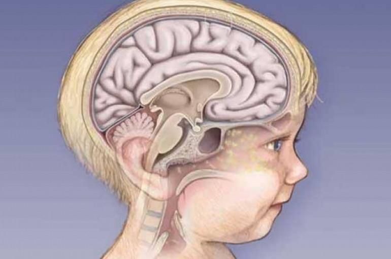 Вікові етапи дозрівання мозку. Ці знання є дуже важливими для батьків!