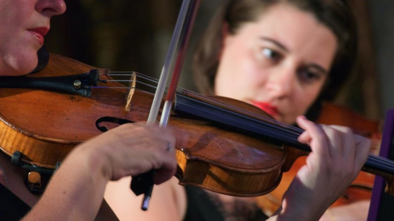 Іспит з гри на скрипці варто зробити обов’язковим для всіх (сарказм)